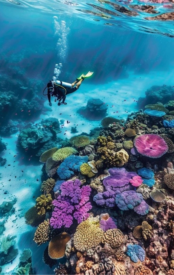Underwater Ecosystem Biodiversity and Coral Cultivation